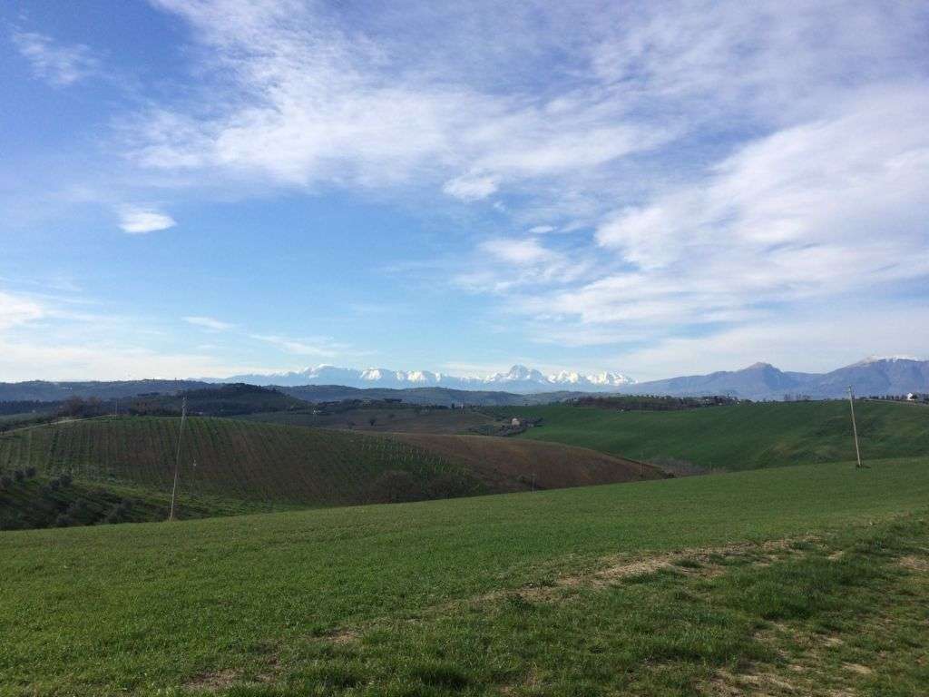  - foto 12