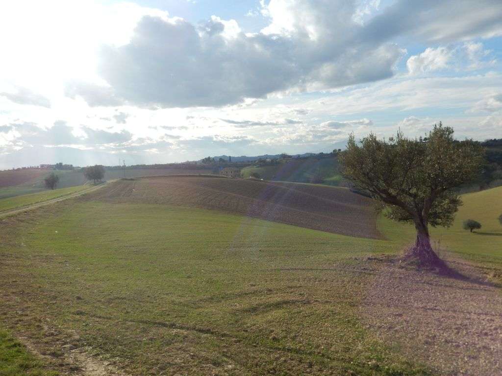 - foto 9