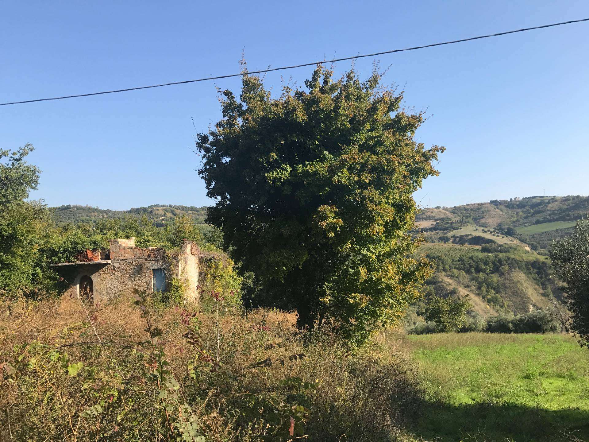  - foto 16