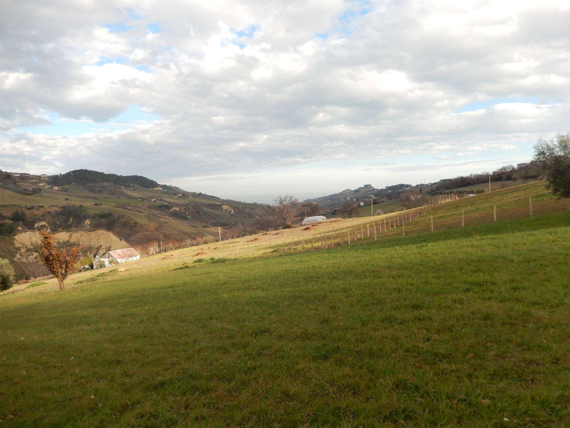  - foto 6