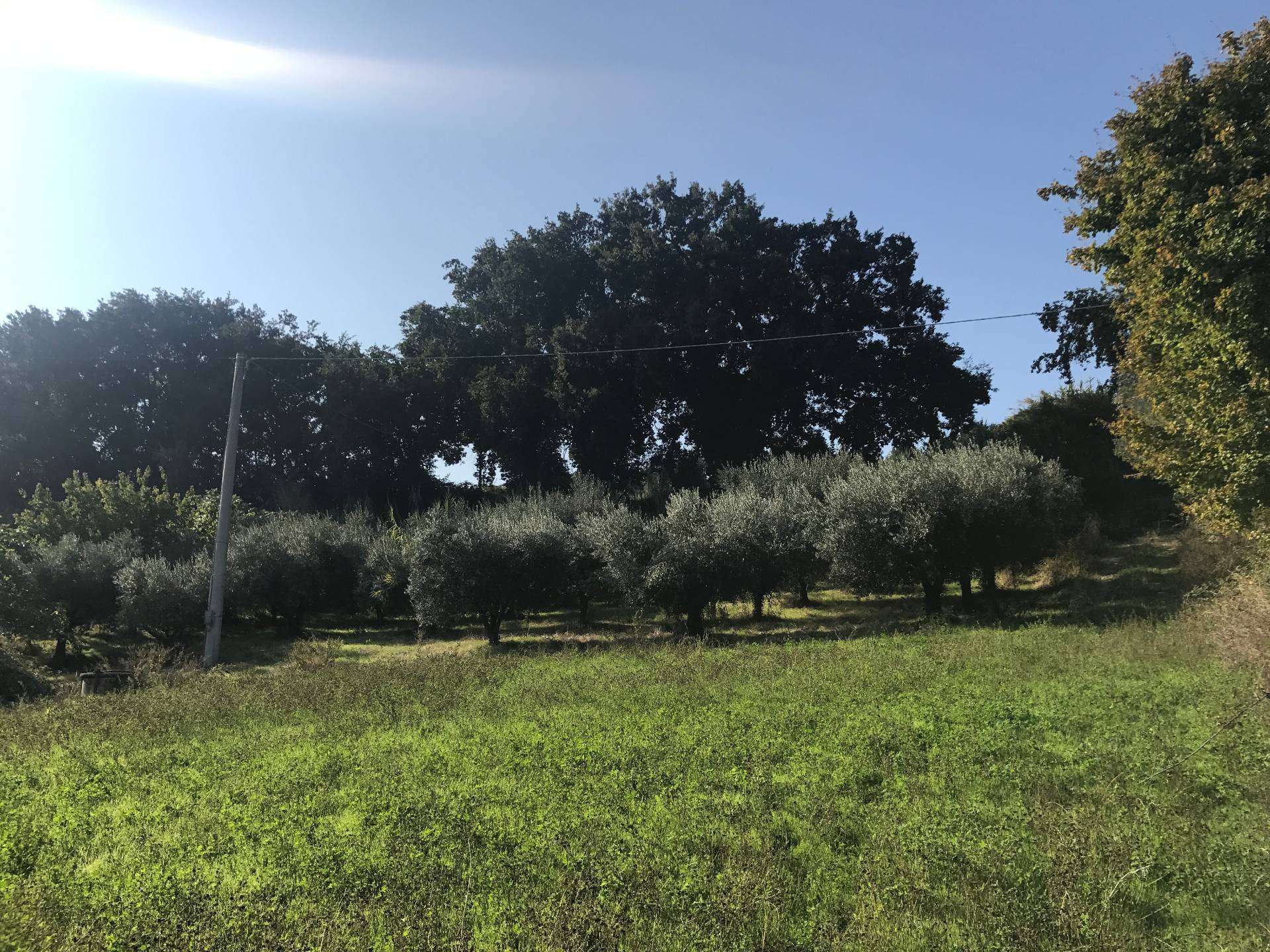  - foto 15