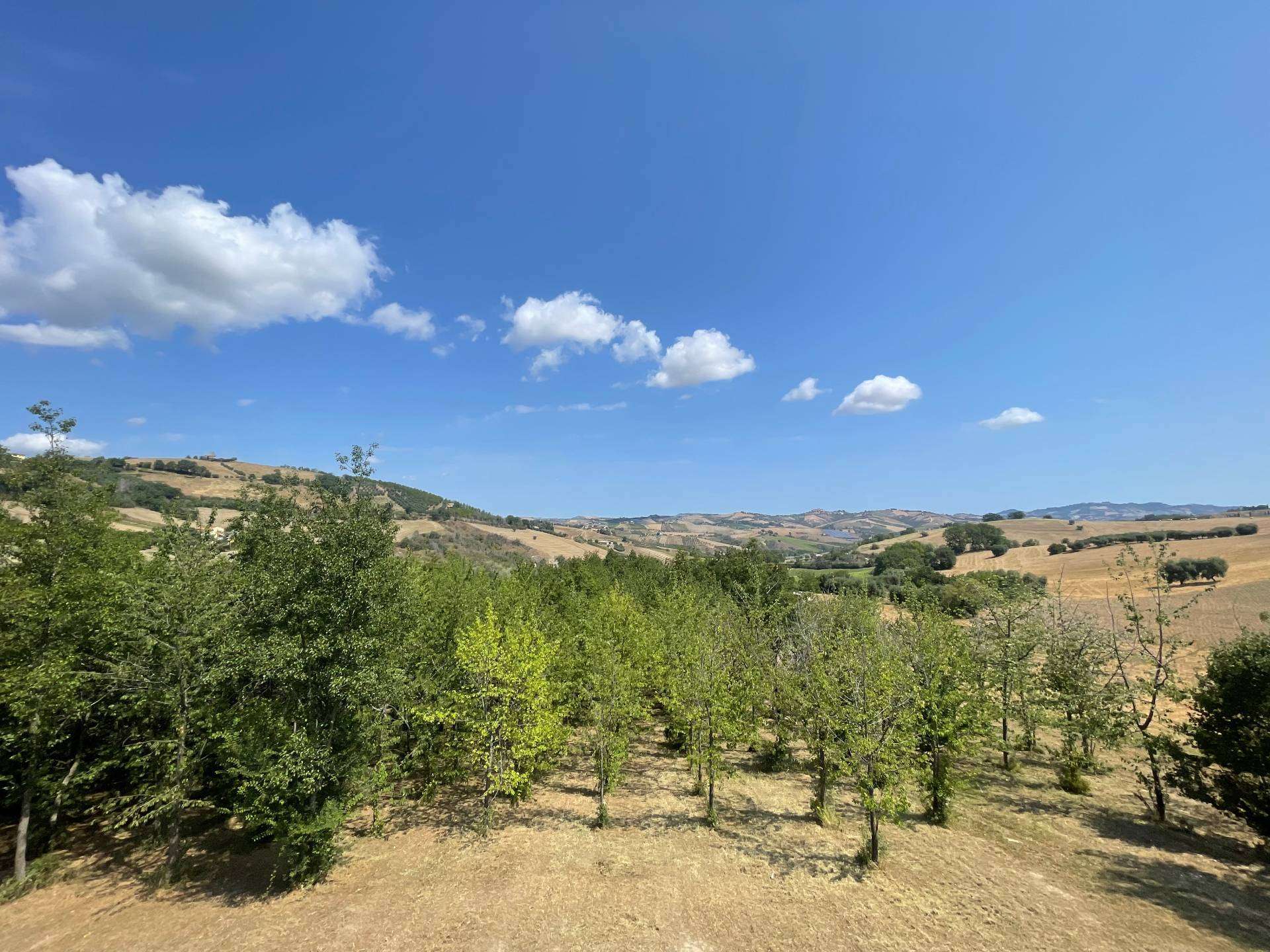  - foto 22