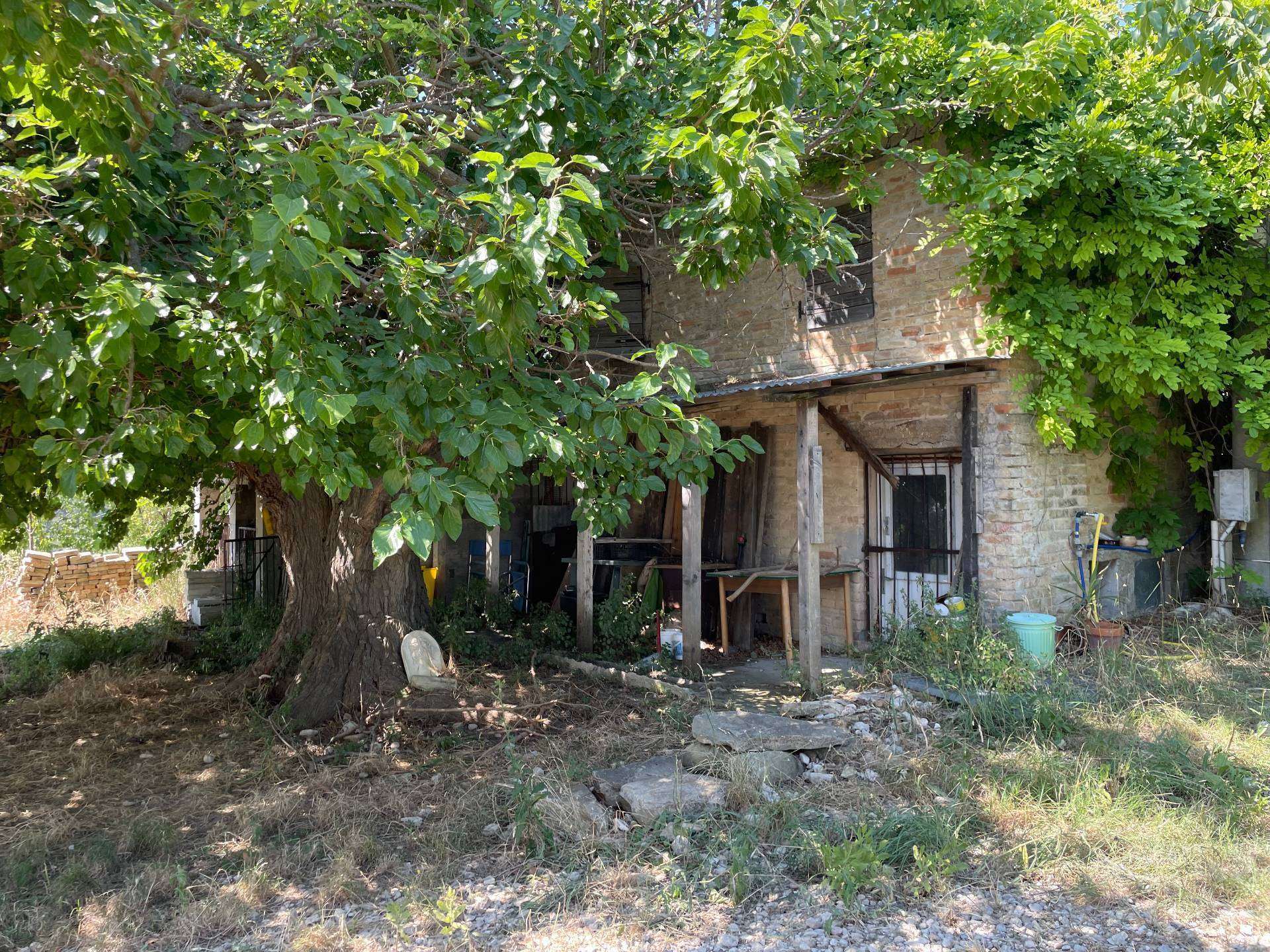  - foto 36