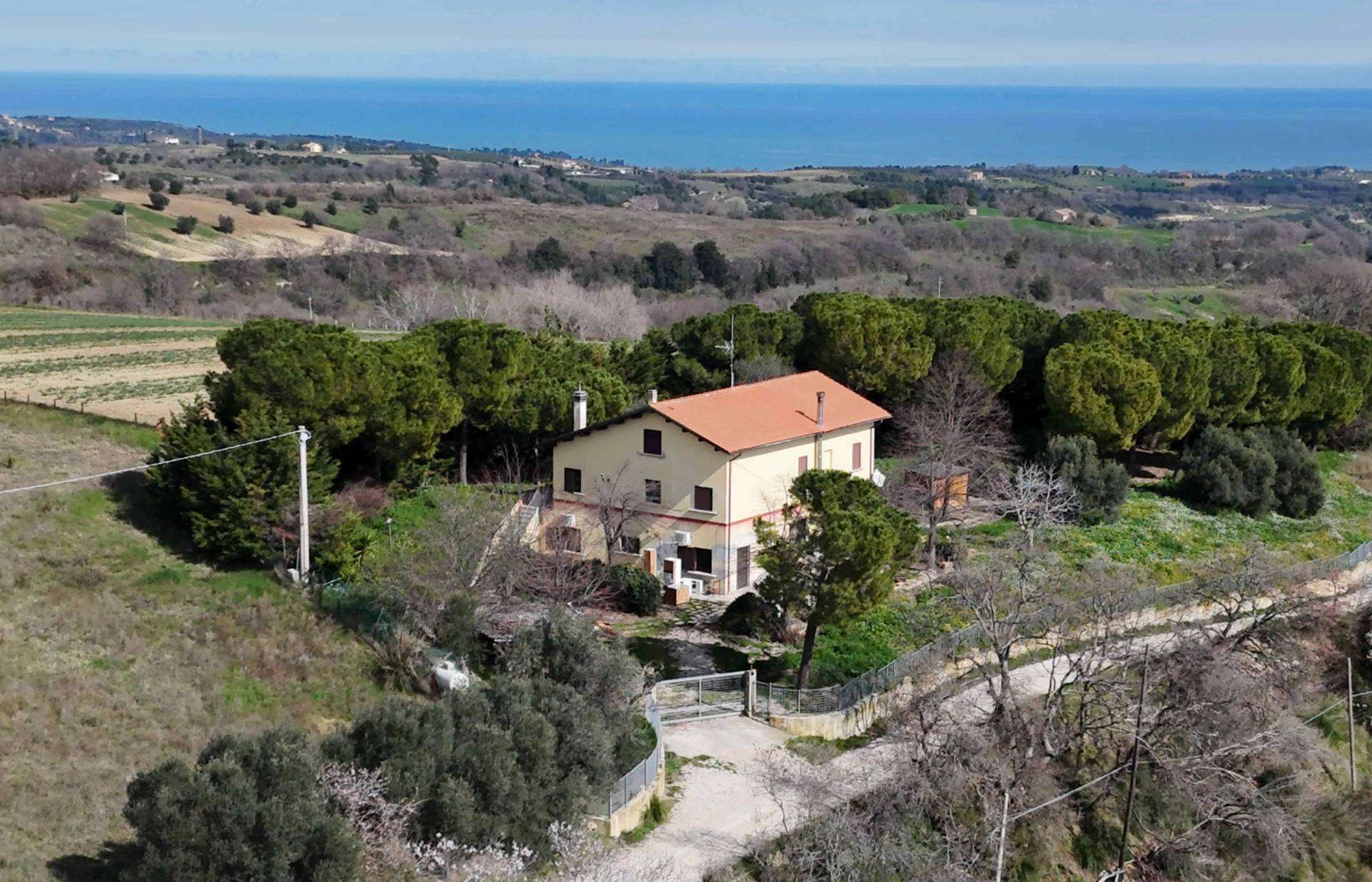 Rustico petrella, Ripatransone
