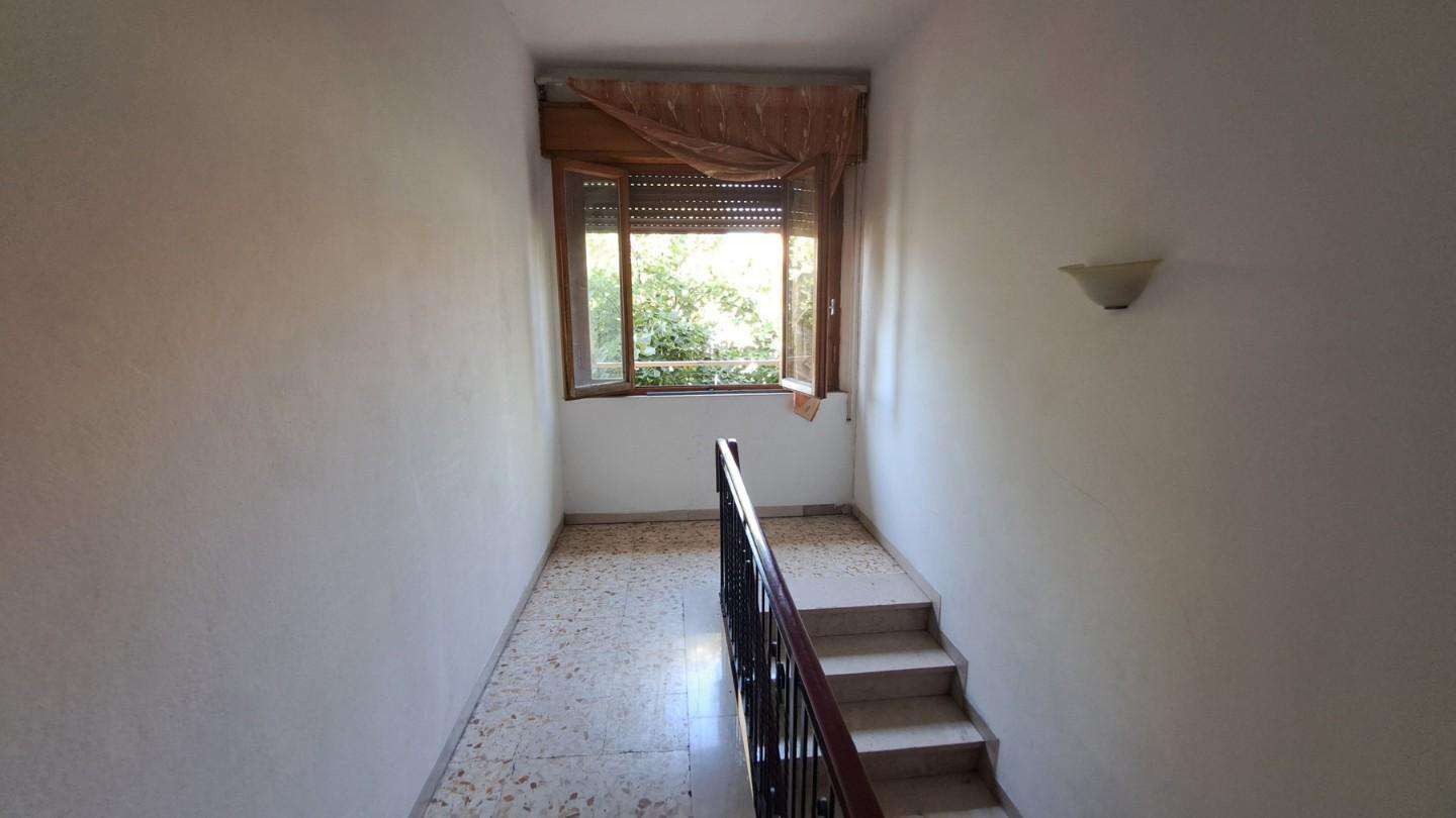  - foto 13
