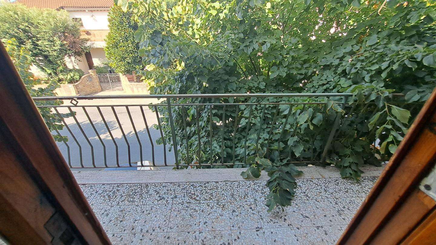  - foto 16