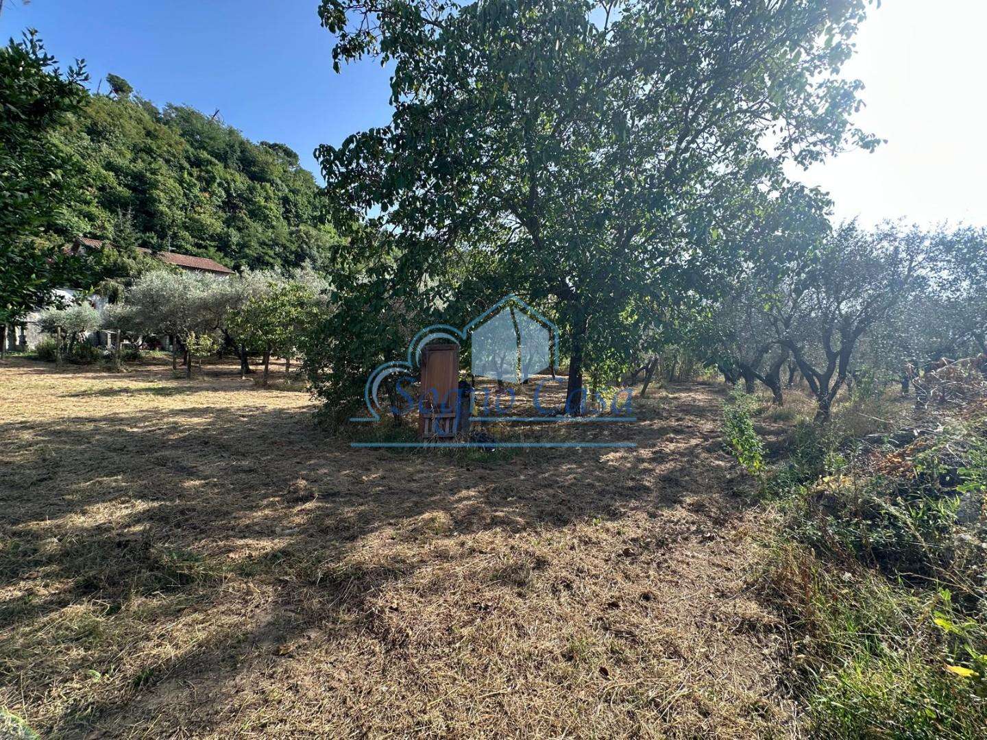  - foto 6