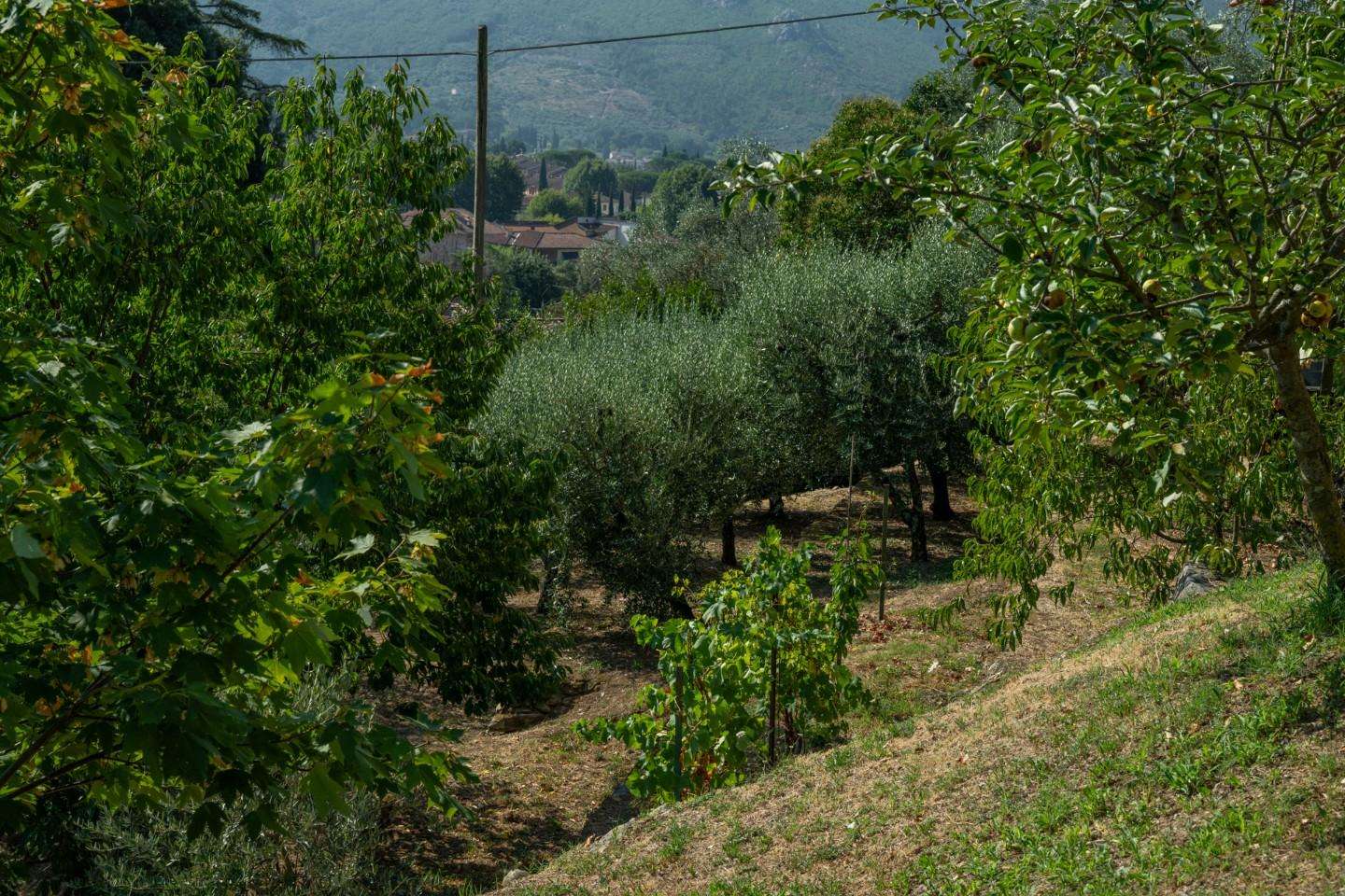  - foto 39