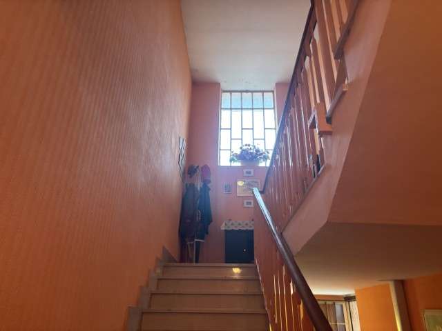 - foto 19