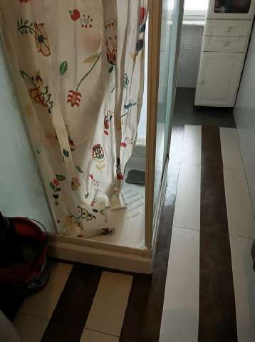  - foto 12