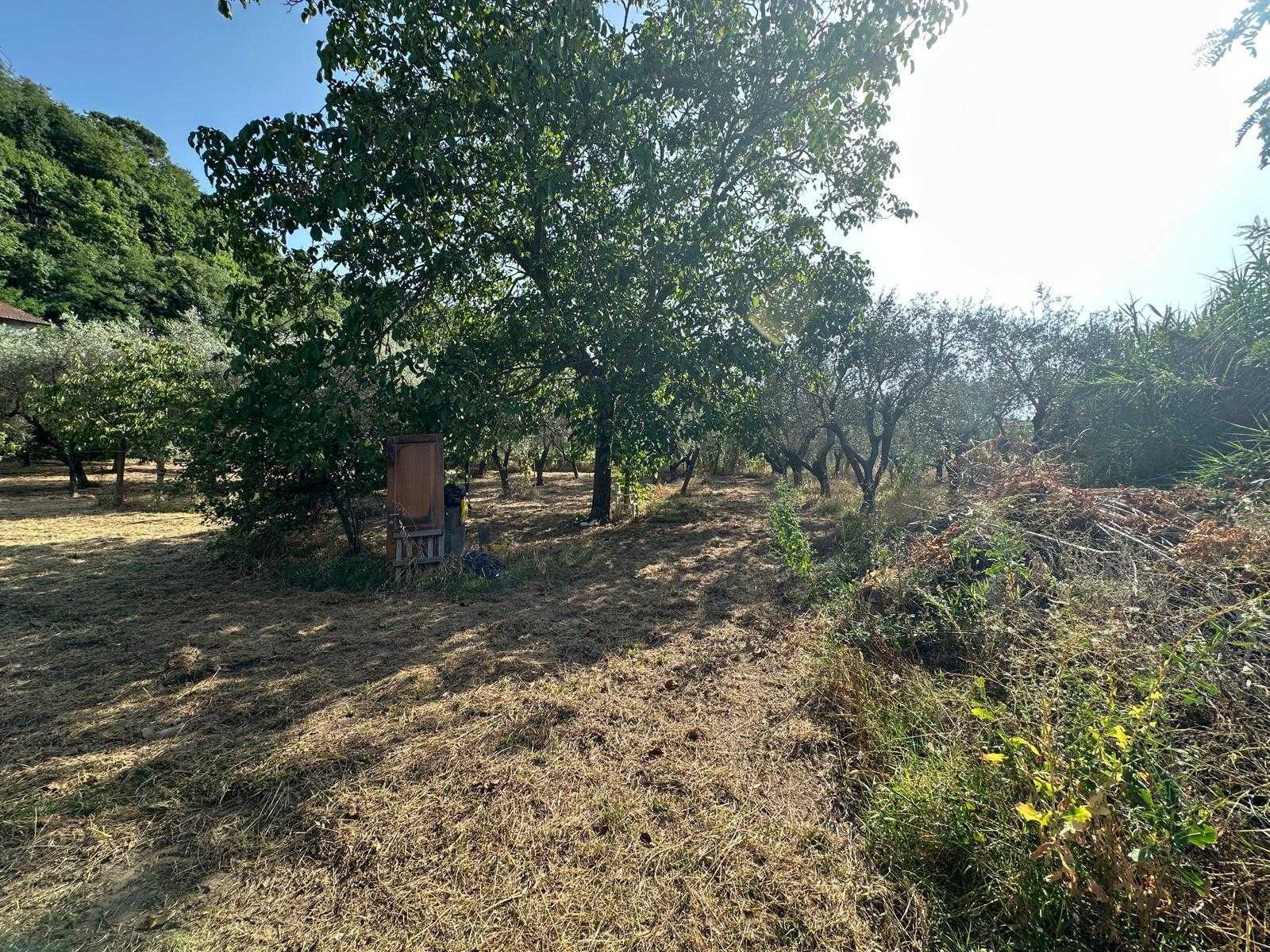  - foto 4
