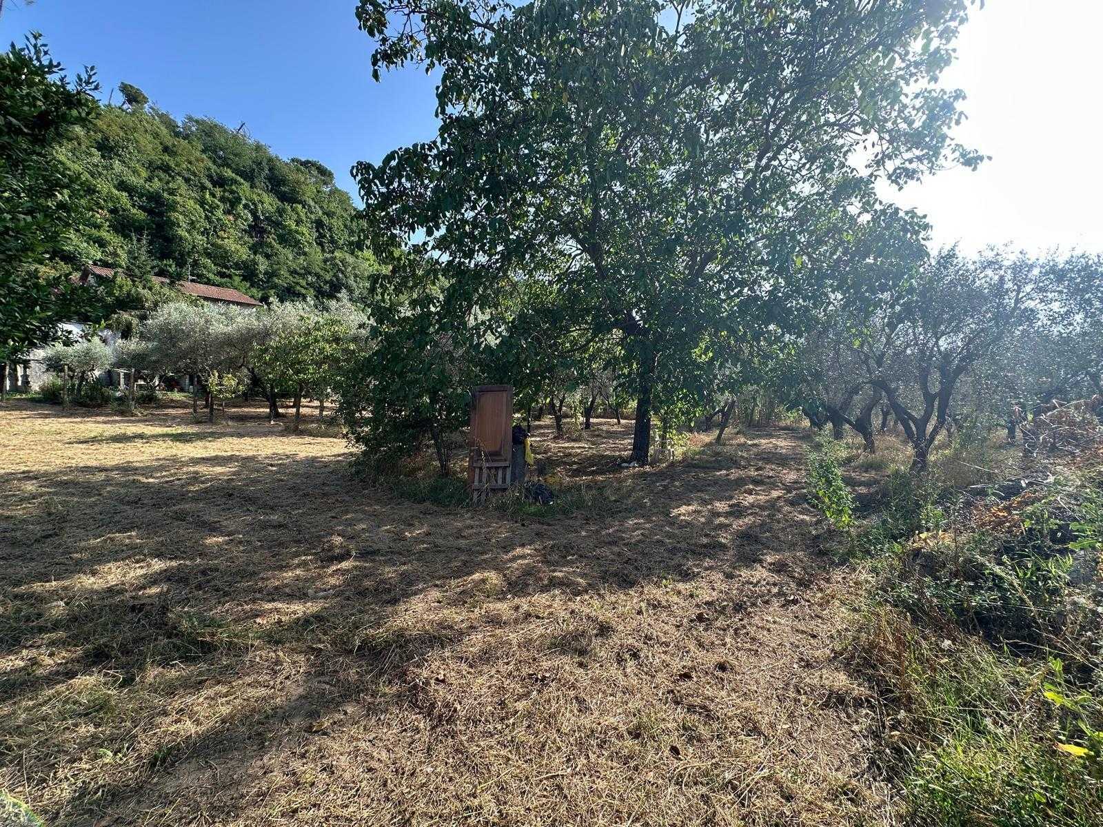  - foto 6