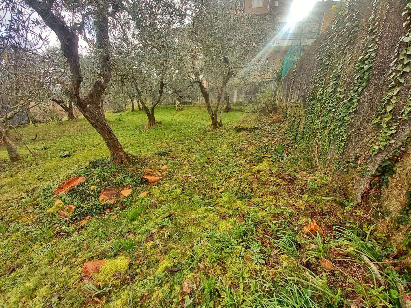  - foto 64