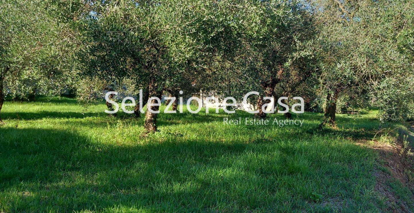  - foto 14