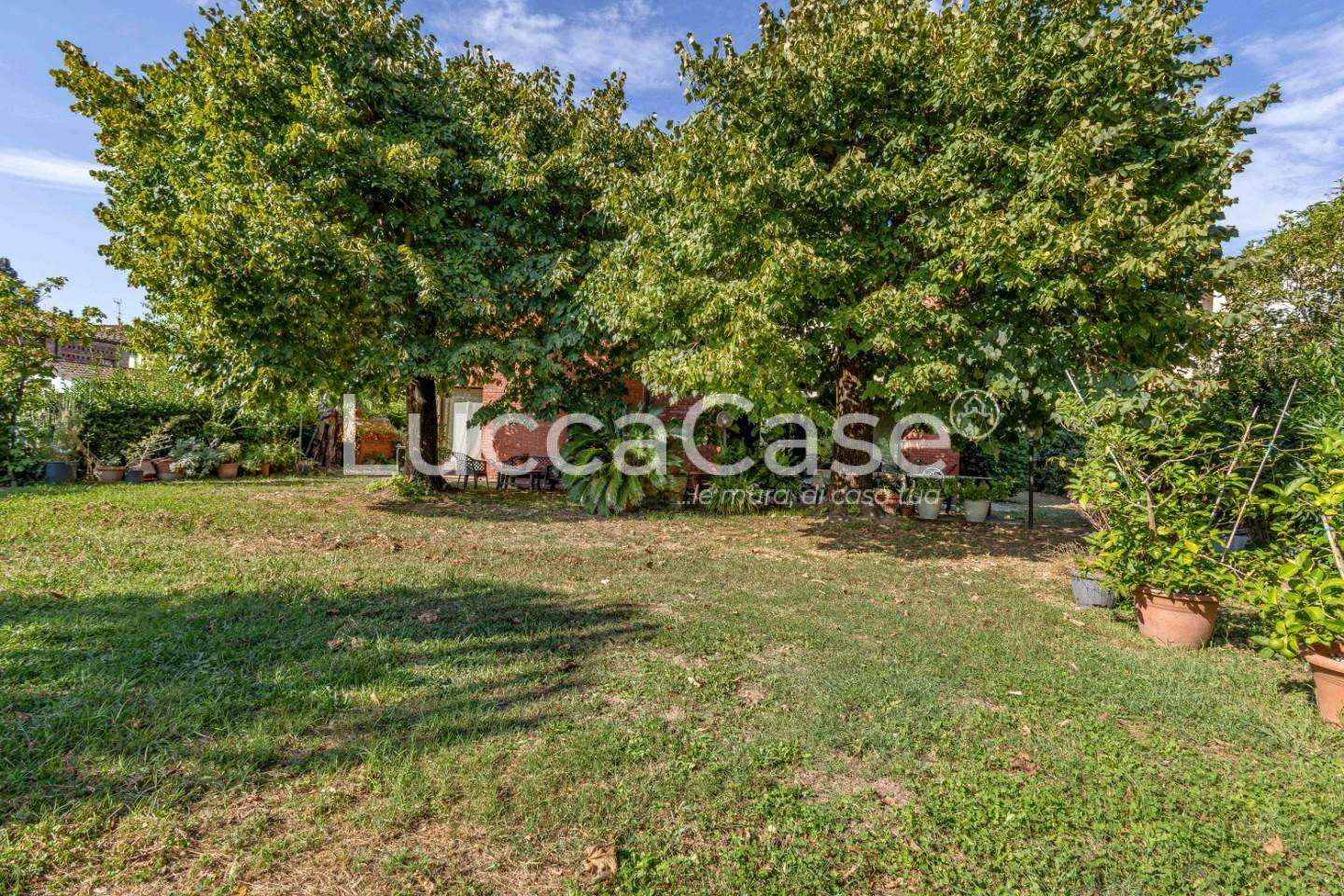  - foto 37