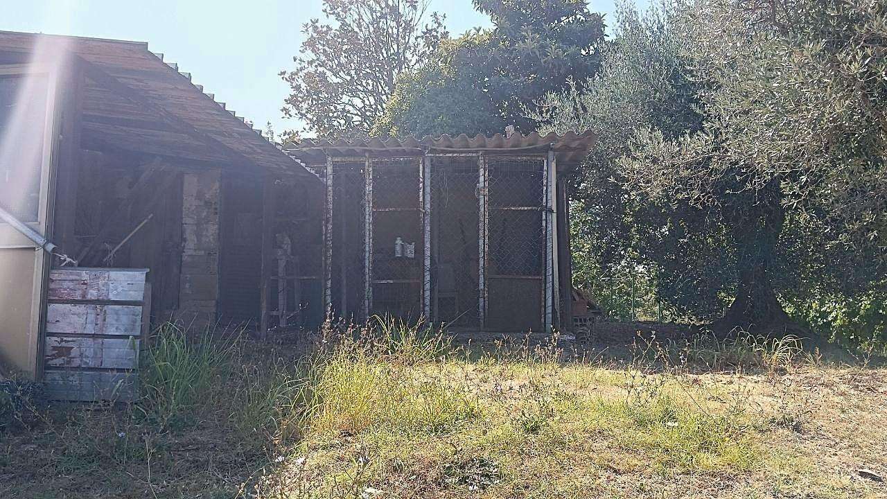  - foto 39