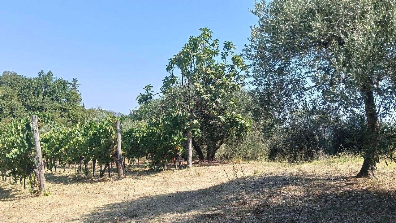  - foto 40
