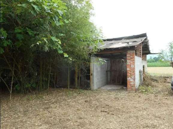  - foto 5