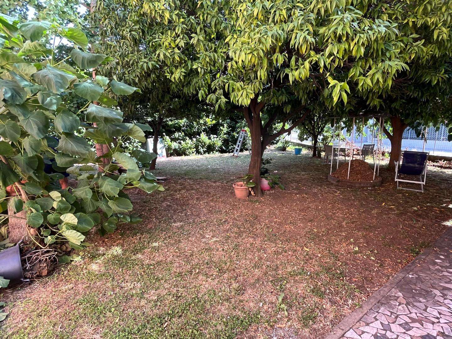  - foto 23
