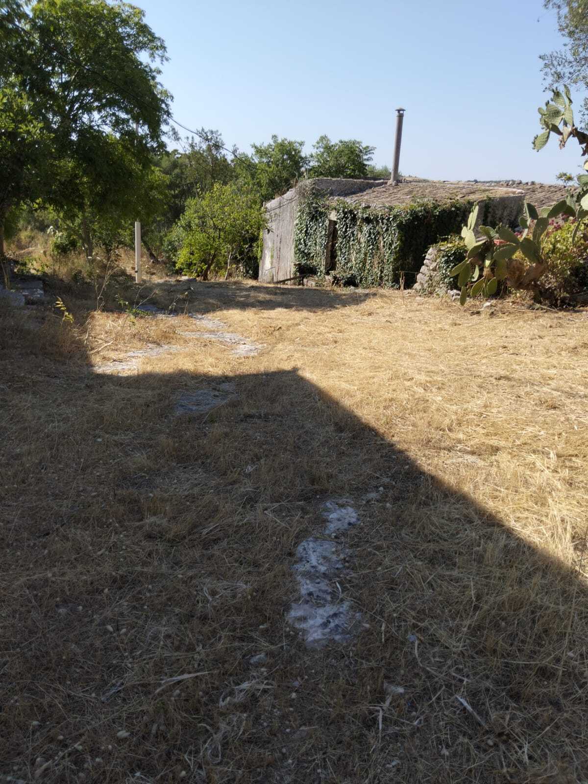  - foto 14