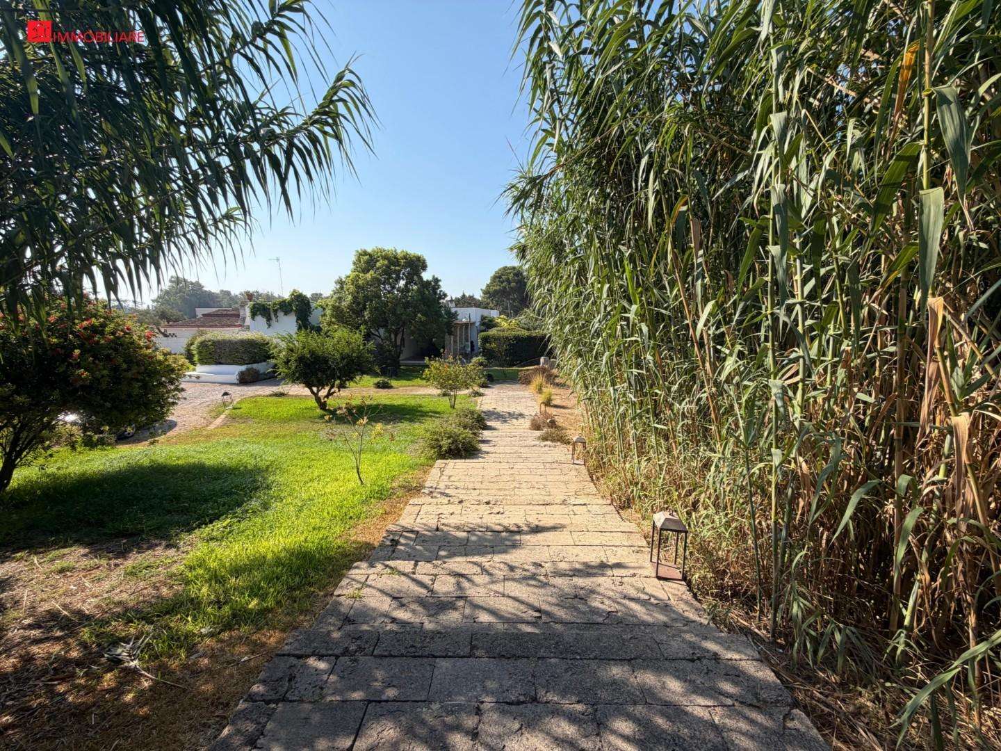  - foto 56