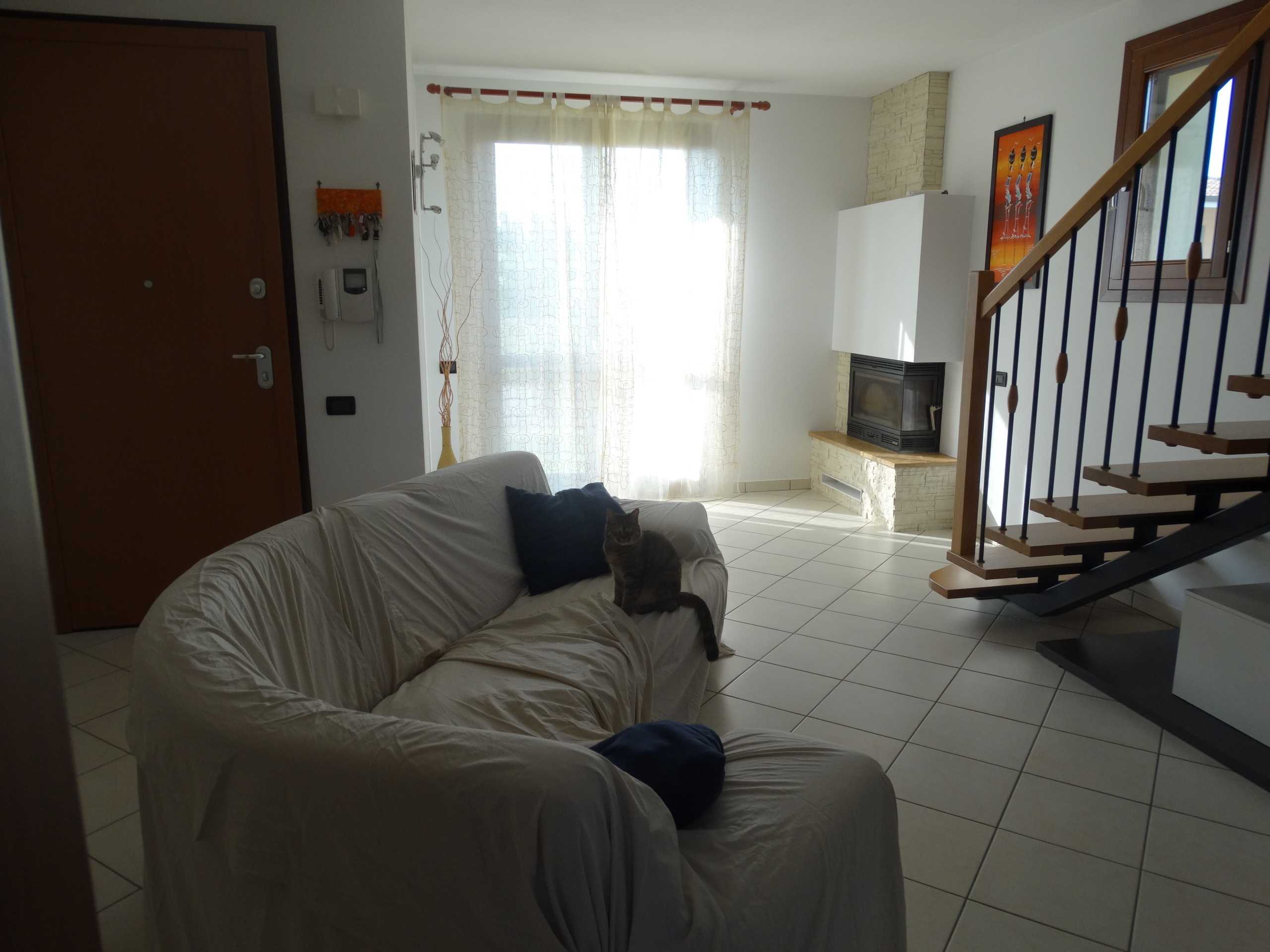 - foto 11