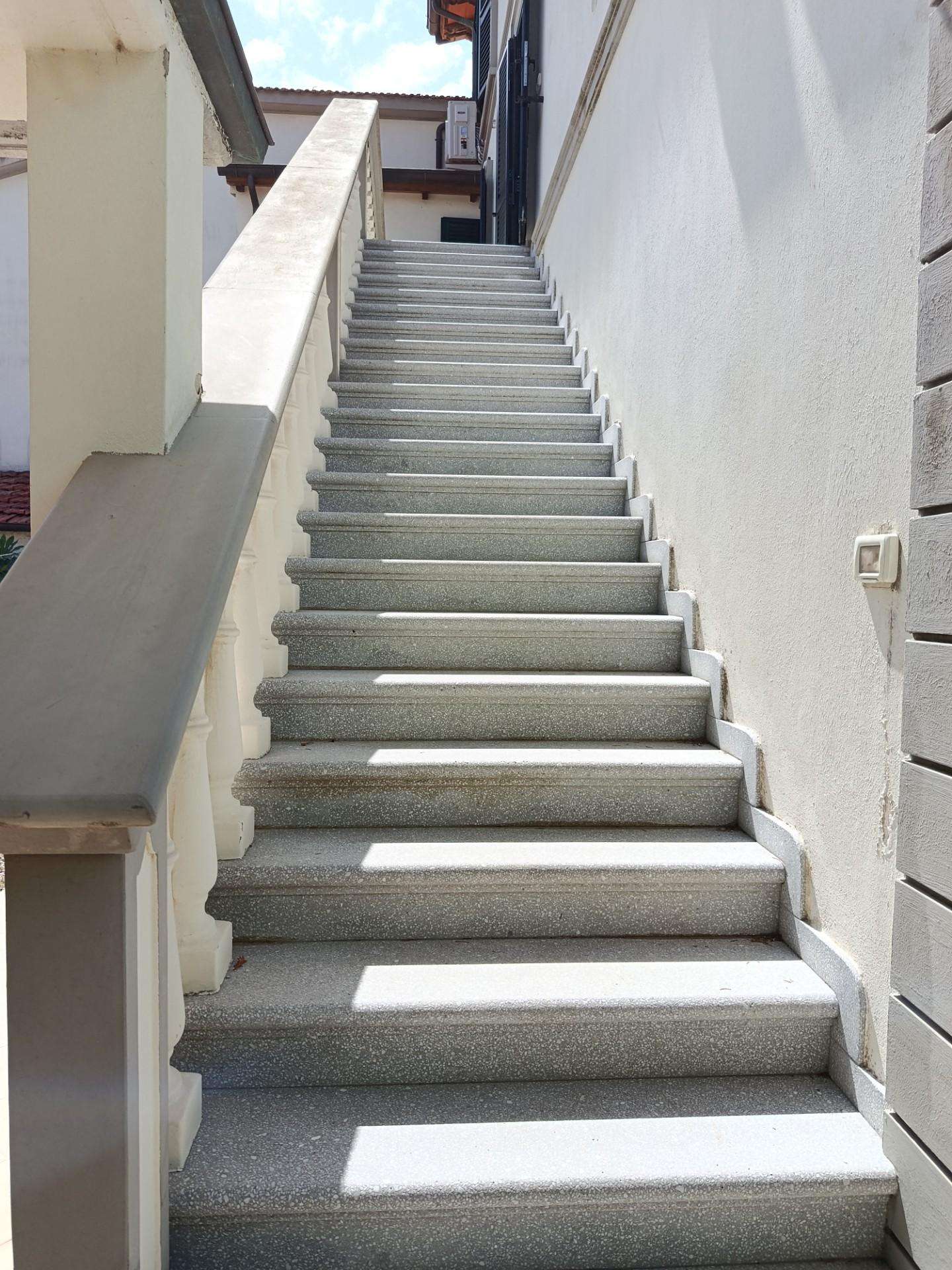  - foto 13