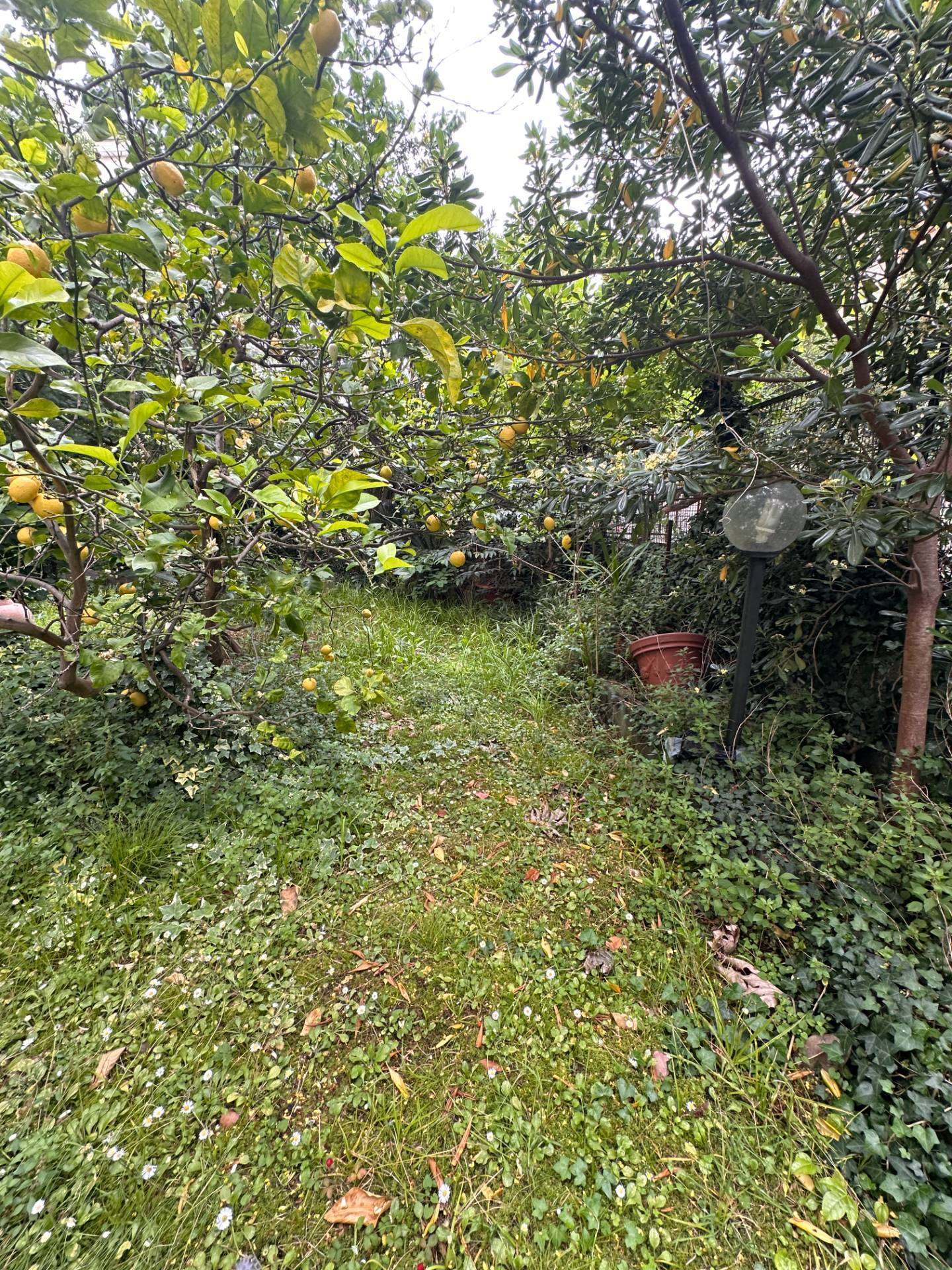  - foto 24