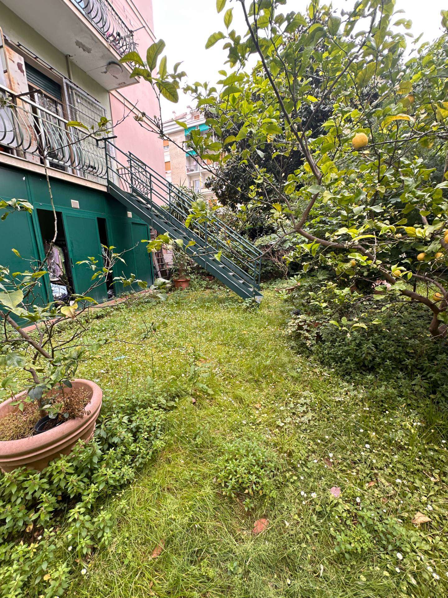  - foto 26