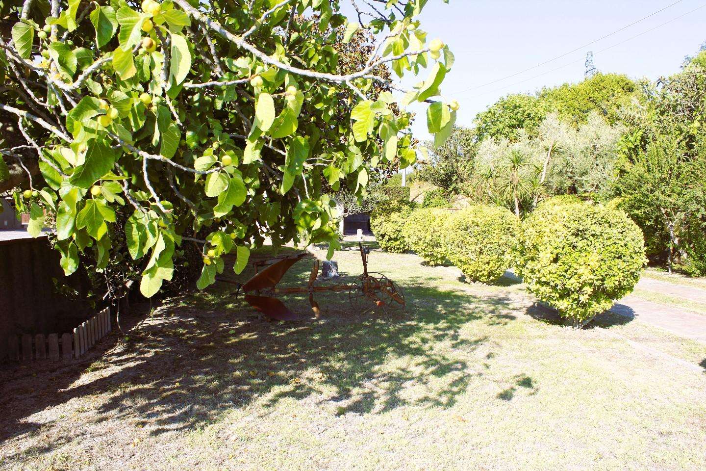  - foto 10