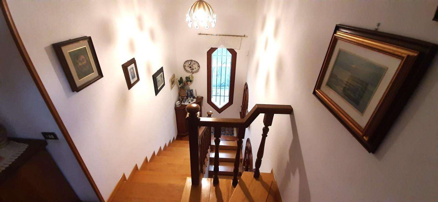  - foto 55