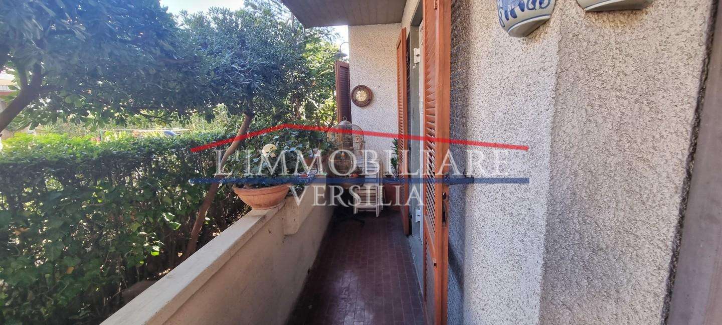  - foto 30