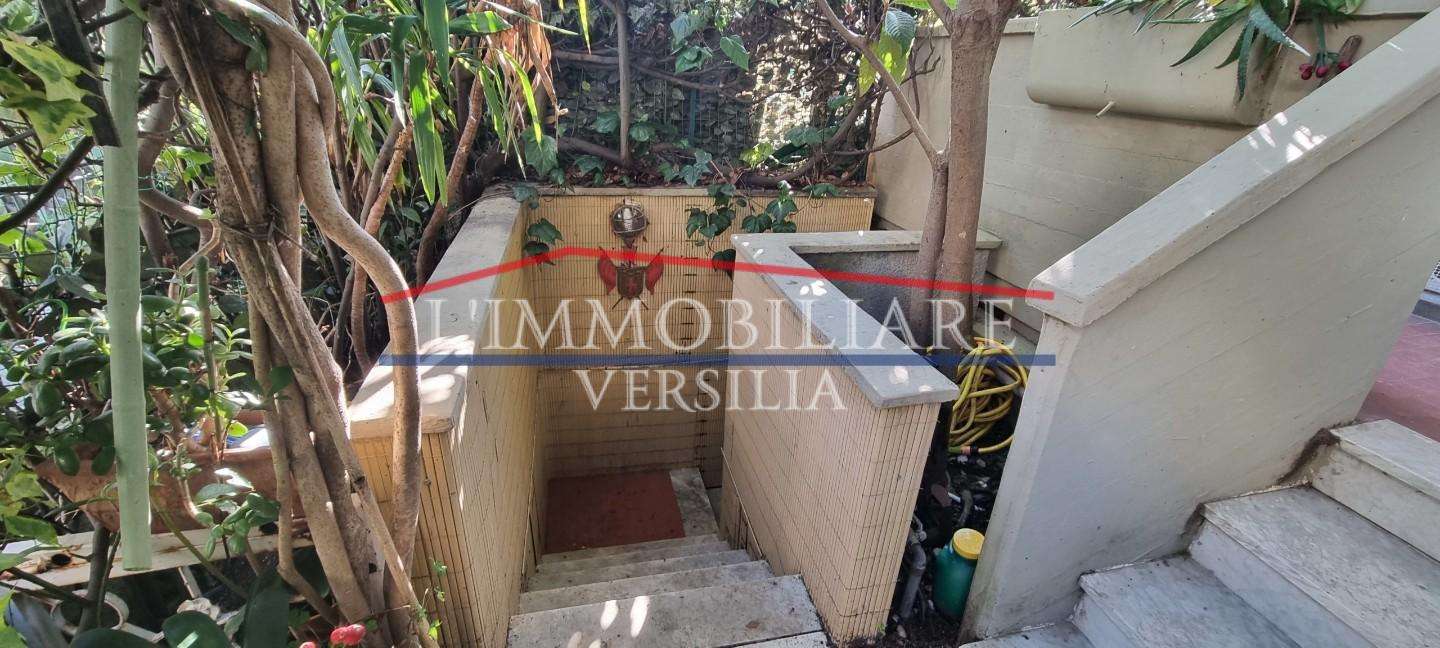  - foto 35