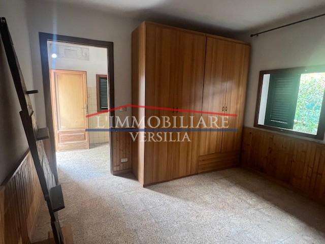  - foto 51