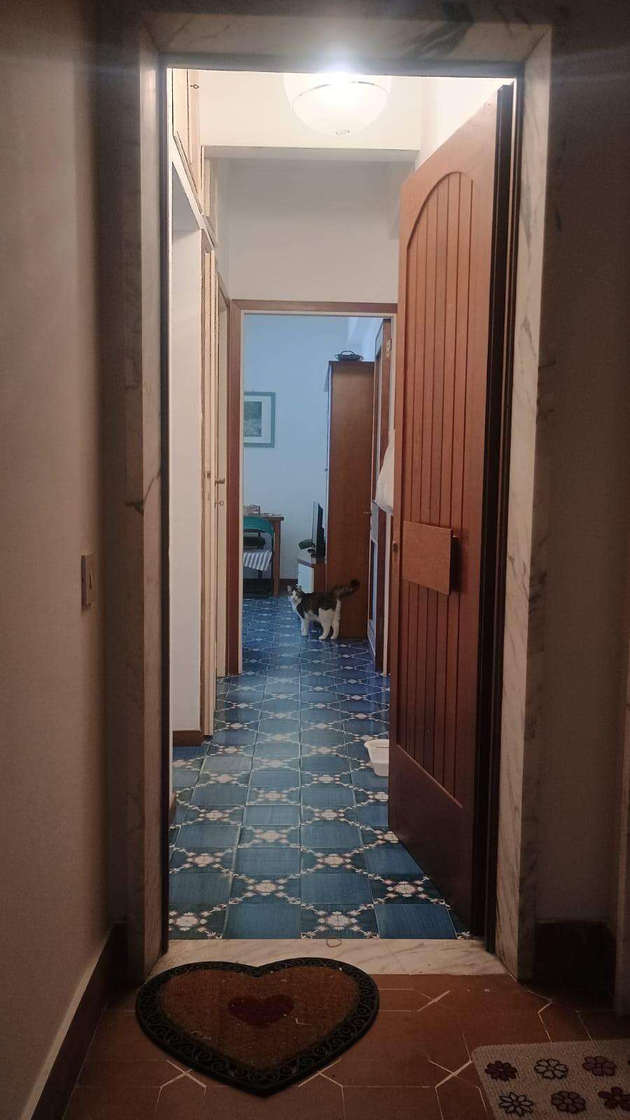  - foto 2