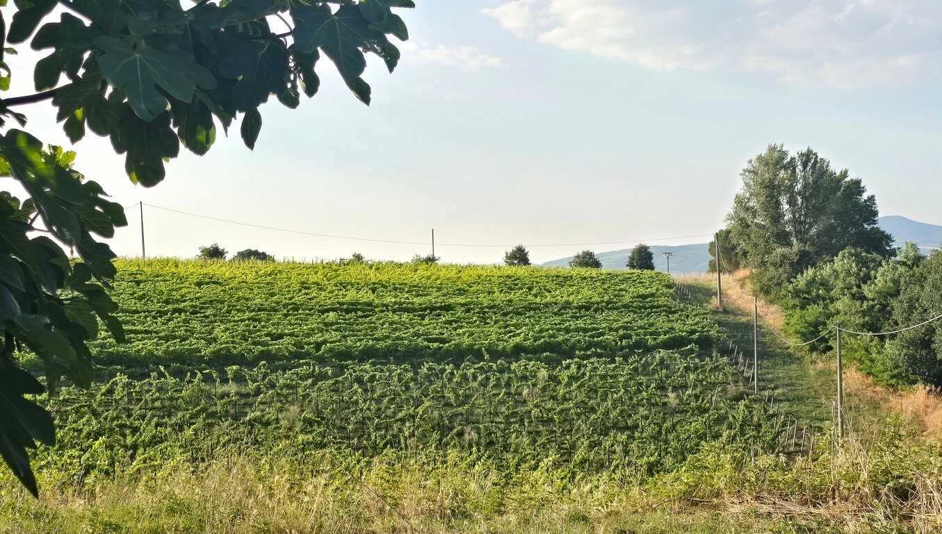  - foto 28