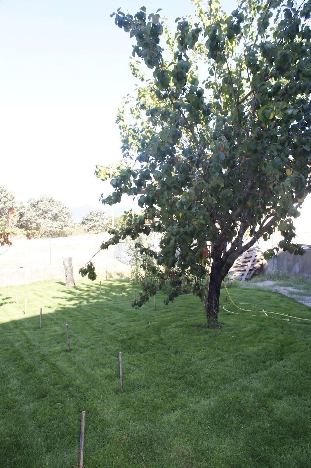  - foto 25