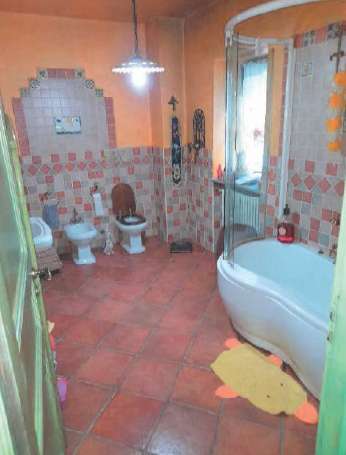  - foto 13