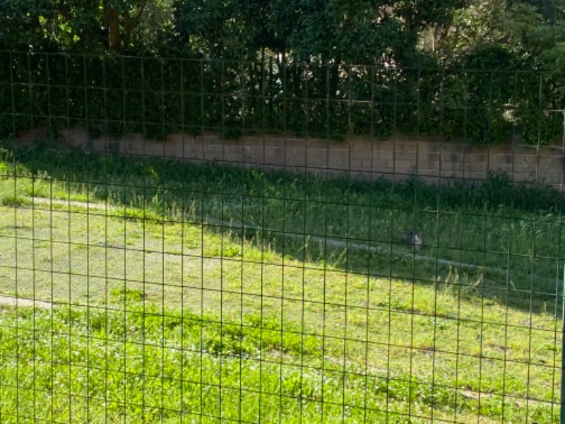  - foto 9