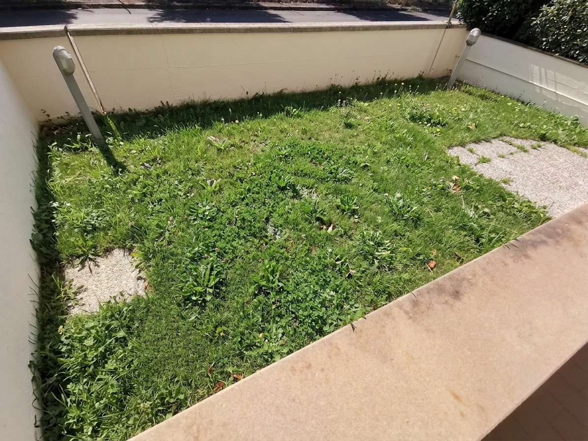  - foto 8