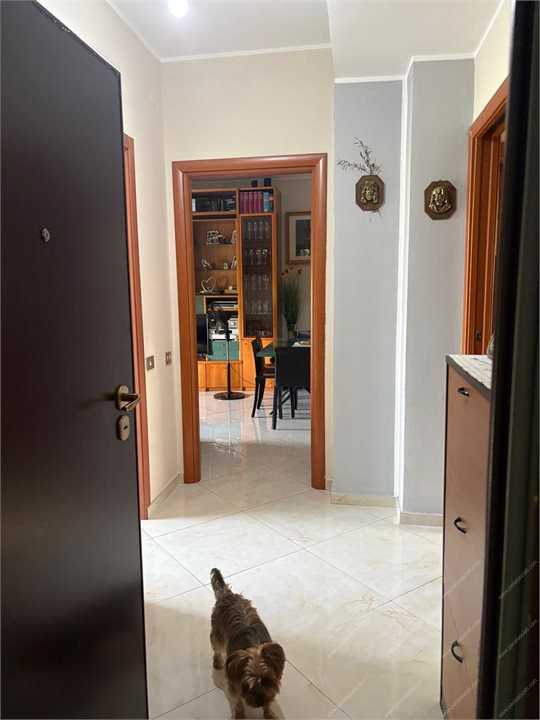  - foto 7
