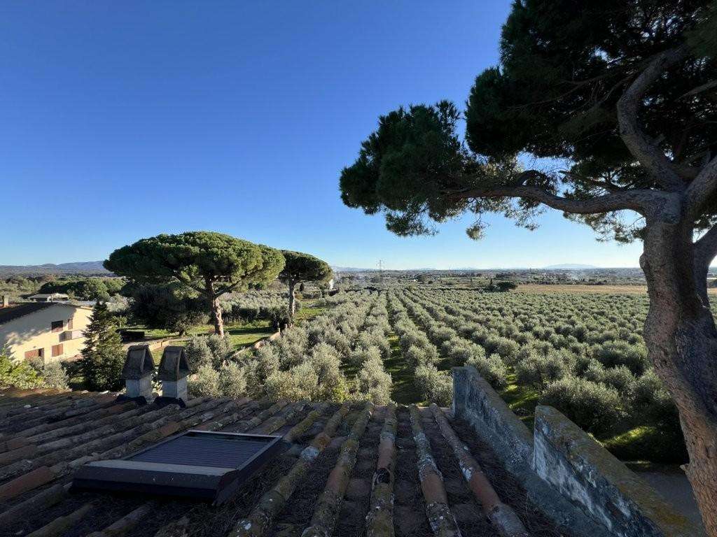 - foto 41