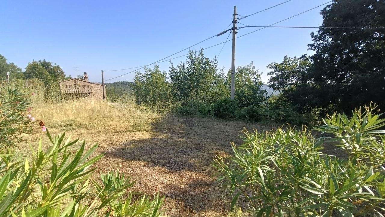  - foto 30