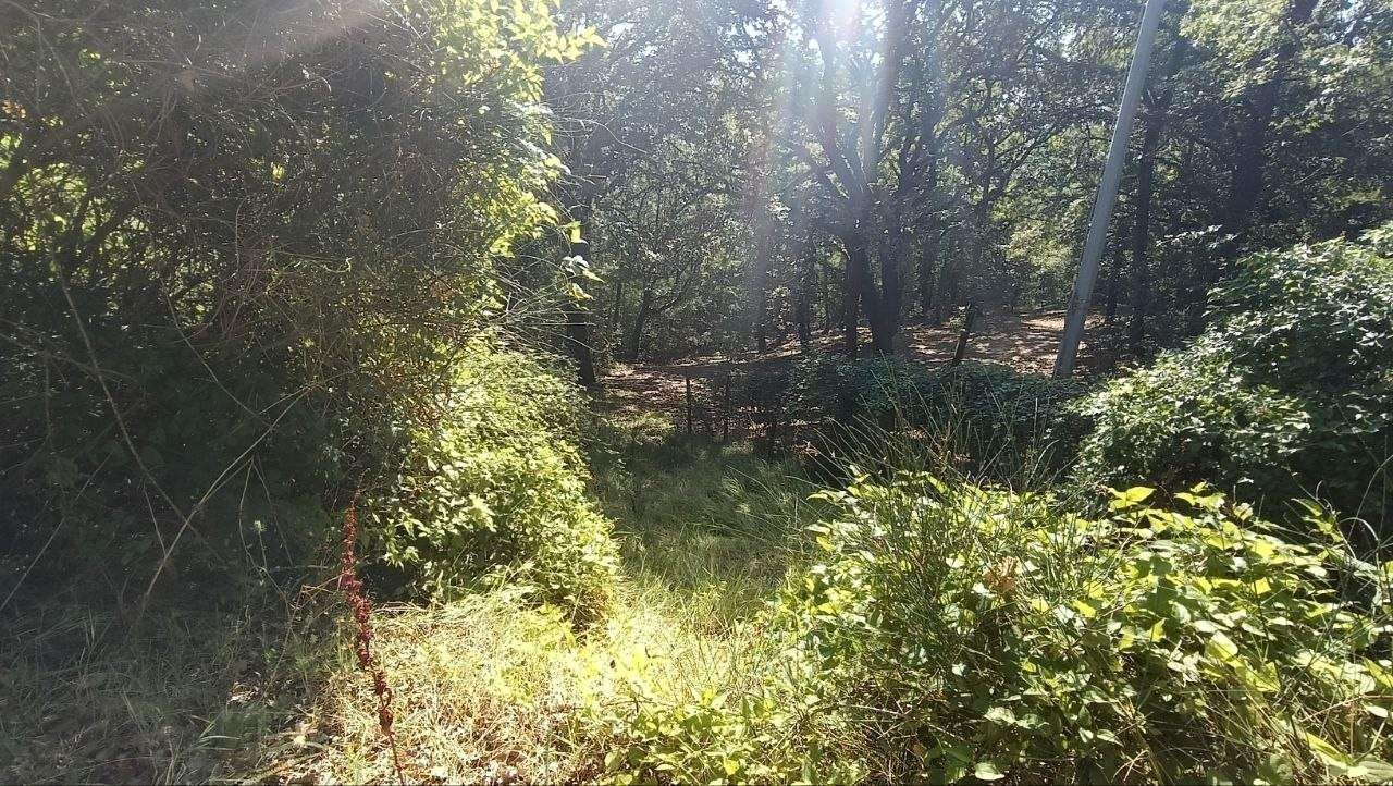  - foto 42