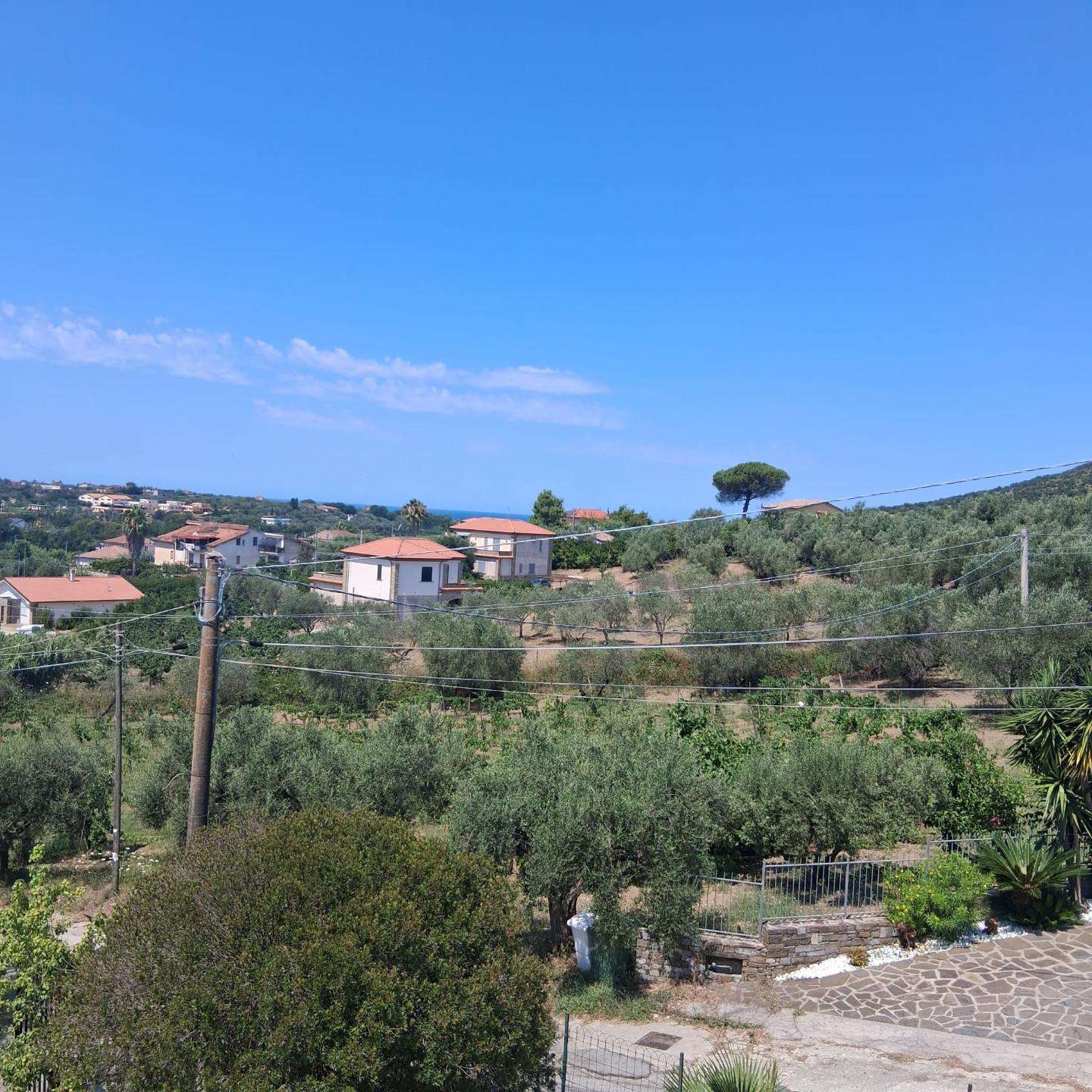  - foto 39