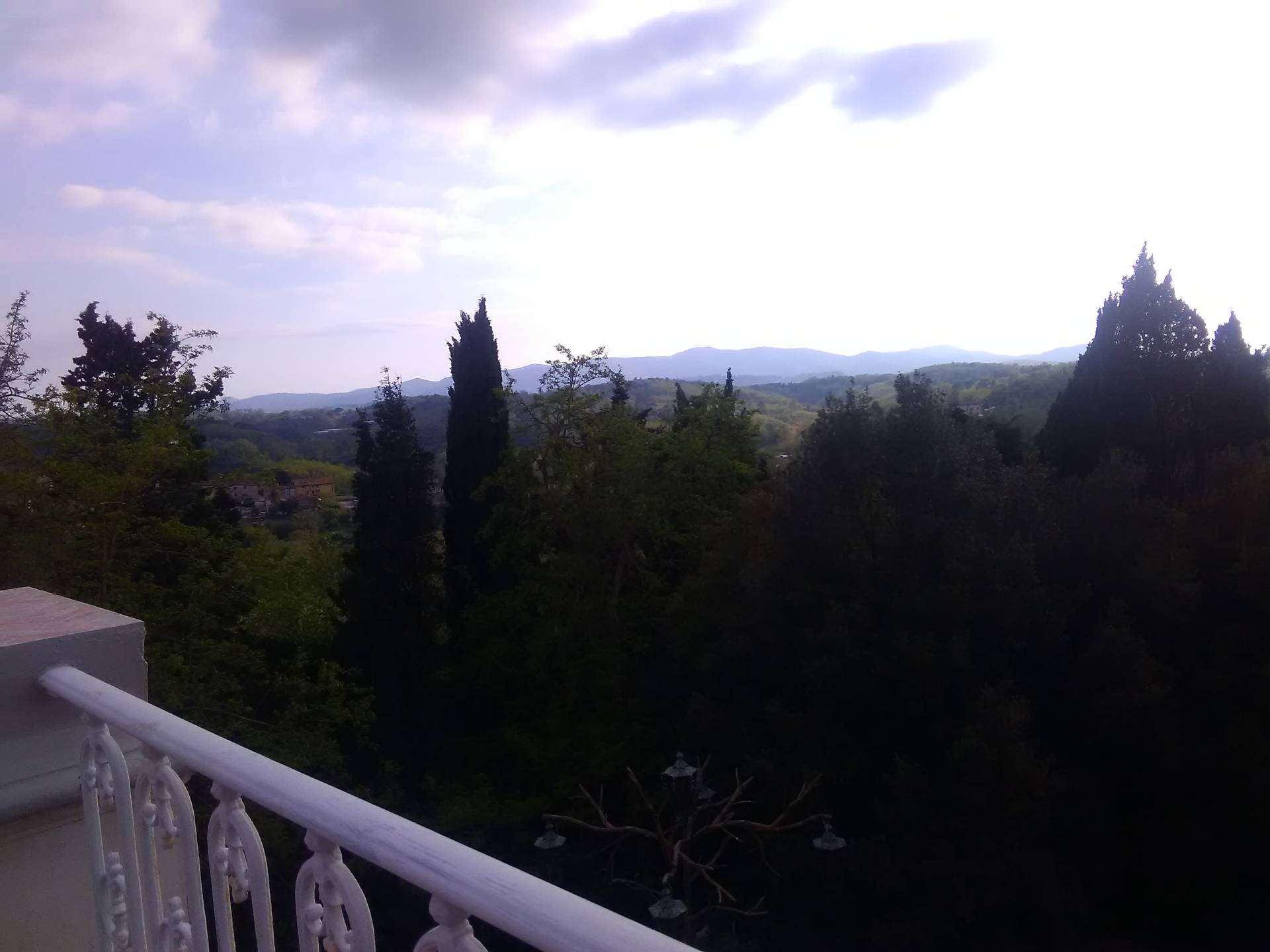 - foto 11