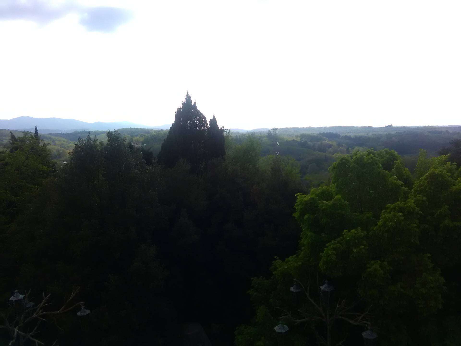  - foto 4