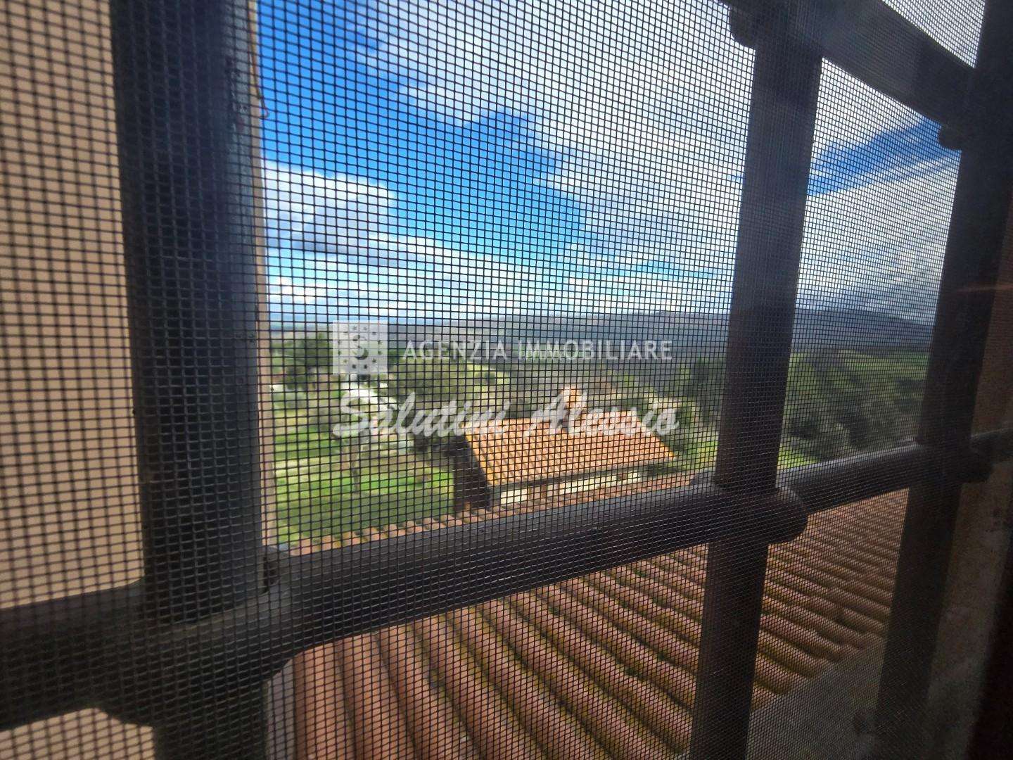  - foto 29