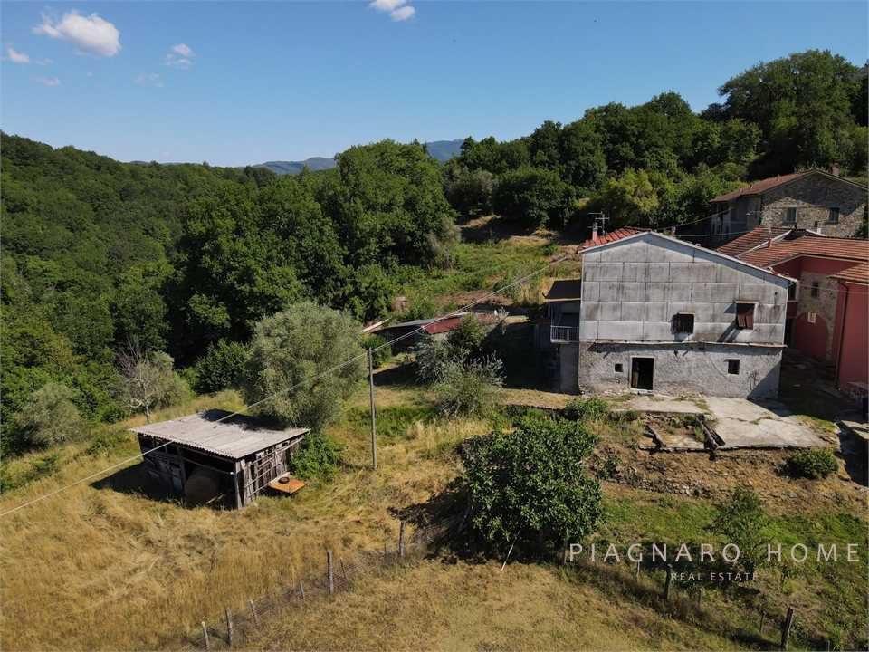  - foto 6