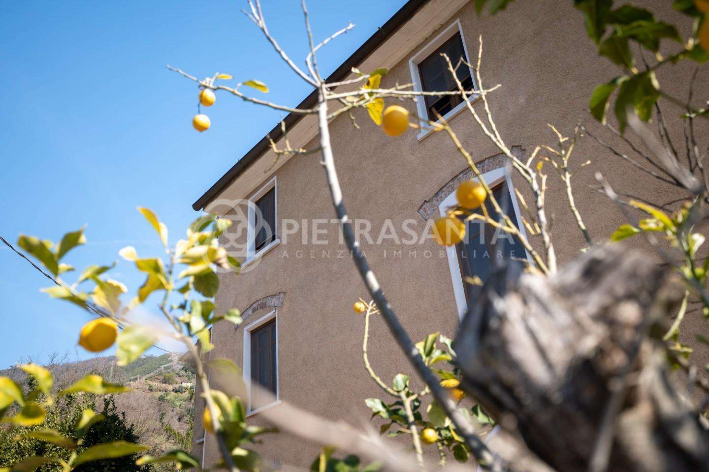 Casale Pietrasanta LU,, Pietrasanta